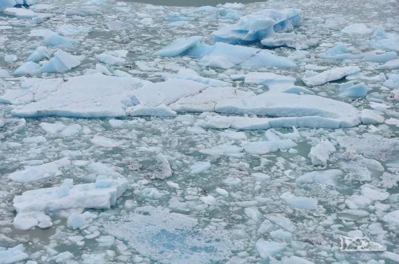 O gelo que caiu das paredes do glaciar Perito Moreno se acumulam nas águas do lago, no parque Nacional Los Glaciares, região de El Calafate, no sul da Argentina